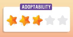 Image of the current adoptability score as shown in a dog's folder.